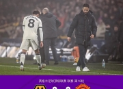 莱切斯特城大胜诺里奇，积分榜上升的简单介绍