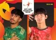 包含沙特阿拉伯队奇迹晋级，再次击败阿联酋的词条