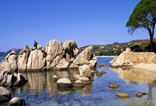 关于苏炳添赛后谦逊发言登热搜，利物浦惊险洛杉矶快船引发热议的信息